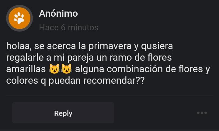 ͏ ͏ ͏ ͏ ͏ ͏›_‹ tweet media