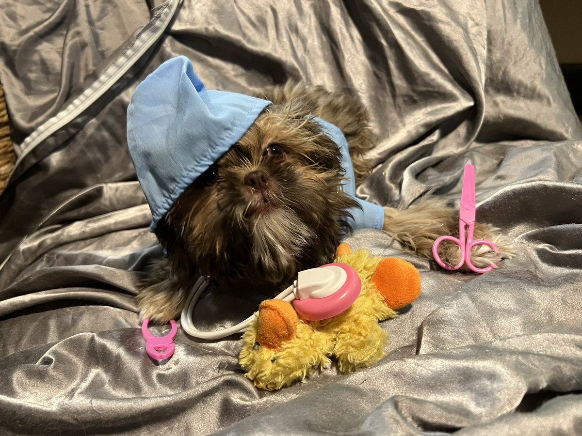 TheHerdHouse's tweet photo. This kid canโt stay out of trouble. Identity Theft.
He is not a doctor.
If you or your loved ones were treated by Dr. Barry Allen, please contact our law offices. You may be entitled to $3.13 in a class action lawsuit.
#LikeASurgeon ๐ถ https://t.co/VYw9kQnkPW