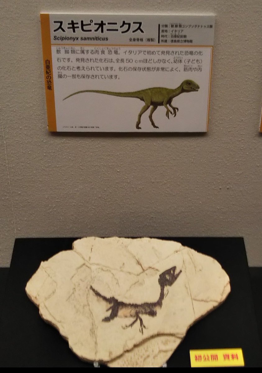 スキピオニクス