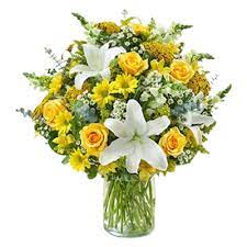 ͏ ͏ ͏ ͏ ͏ ͏›_‹ tweet media