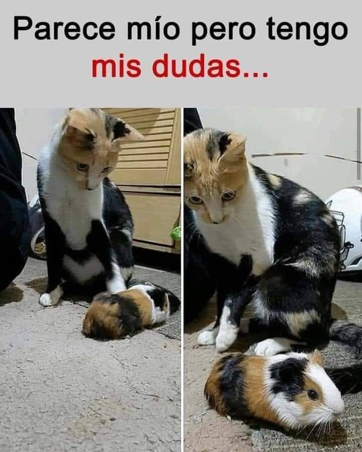 Hay dudas
#FelizJueves
