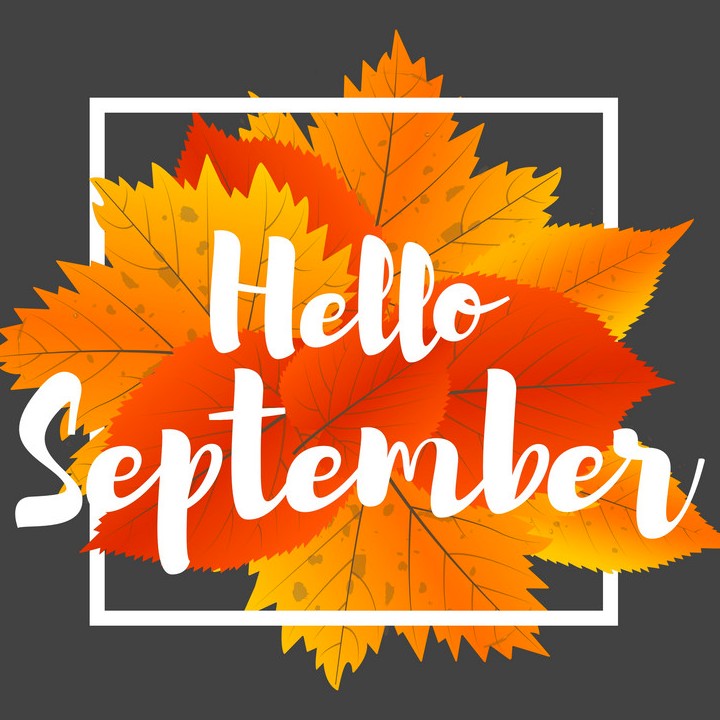 Vencasa_za's tweet photo. Hello September!!

Here's to a new month, and even better sleep!

#September #Springmonth #SleepHygiene #Vencasa https://t.co/RLafT9PxRS