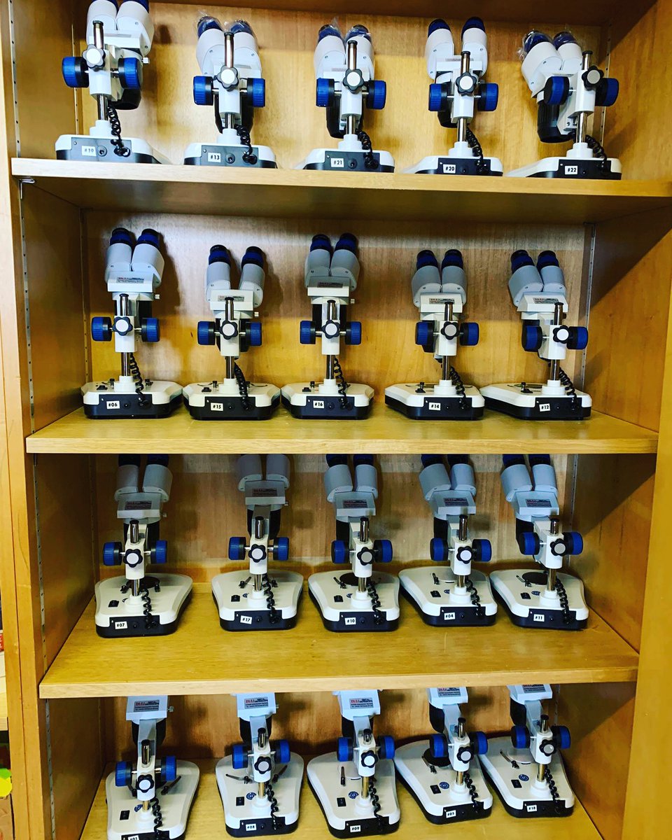 Unsere Stereolupenflotte!🤩Wir sind bereit für die Herbstphase mit insgesamt 8 Schulcamps!