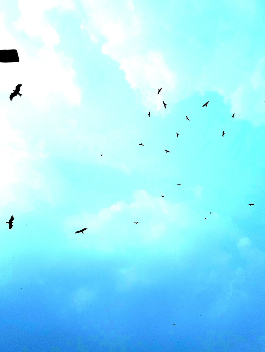 DestinationsPK tweet media