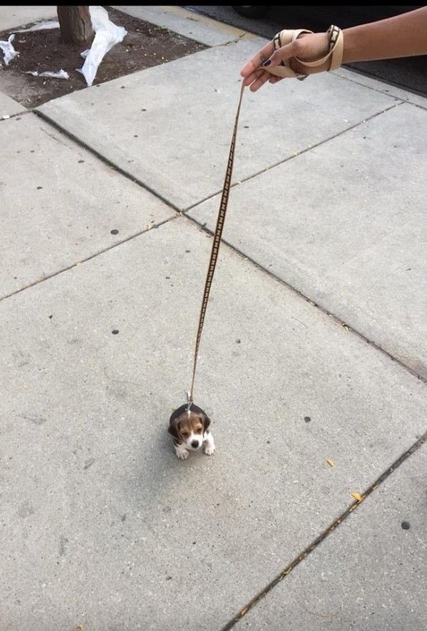 twaniimals's tweet photo. https://t.co/SdcIutBrZM