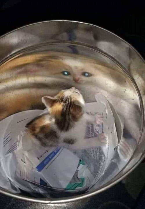 HumTwinkle's tweet image. Wough lookig atm e