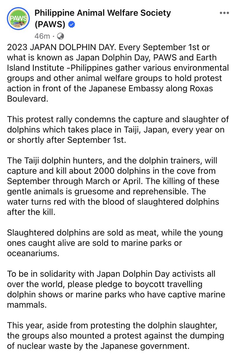 Rockincherub's tweet photo. Stop Dolphin Hunt in Japan
#philippineanimalwelfaresociety #earthislandinstitute #notodolphinhunt #notocaptivity #dolphin #savethedolphin #notodolphinmeat https://t.co/kInBjkkiMO