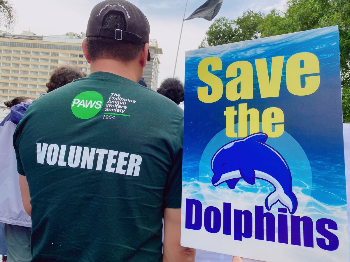Rockincherub's tweet photo. Stop Dolphin Hunt in Japan
#philippineanimalwelfaresociety #earthislandinstitute #notodolphinhunt #notocaptivity #dolphin #savethedolphin #notodolphinmeat https://t.co/kInBjkkiMO