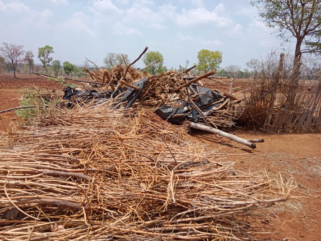 Article14live's tweet photo. “Ham rote, gidgidaate rah gaye (we were left crying &amp; shaken)”  

Anant Singh, 45, Gond tribal as #MadhyaPradesh govt breaks down mud homes of #Adivasis on forest land, clears forests, ignores their complaints of timber mafia.
@Anil_Kumar_ti reports

https://t.co/ySfuWF0ed0 https://t.co/cTEY600p92