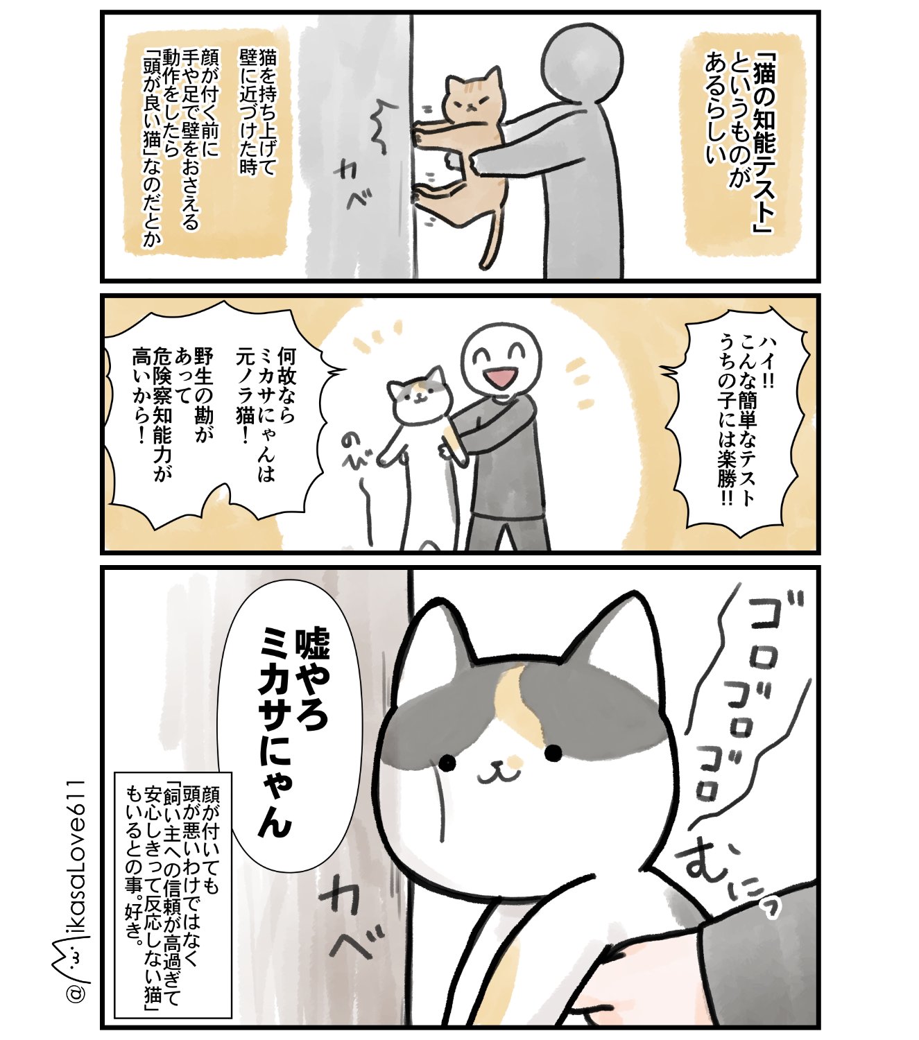 ミカサにゃんの飼い主 on X: 