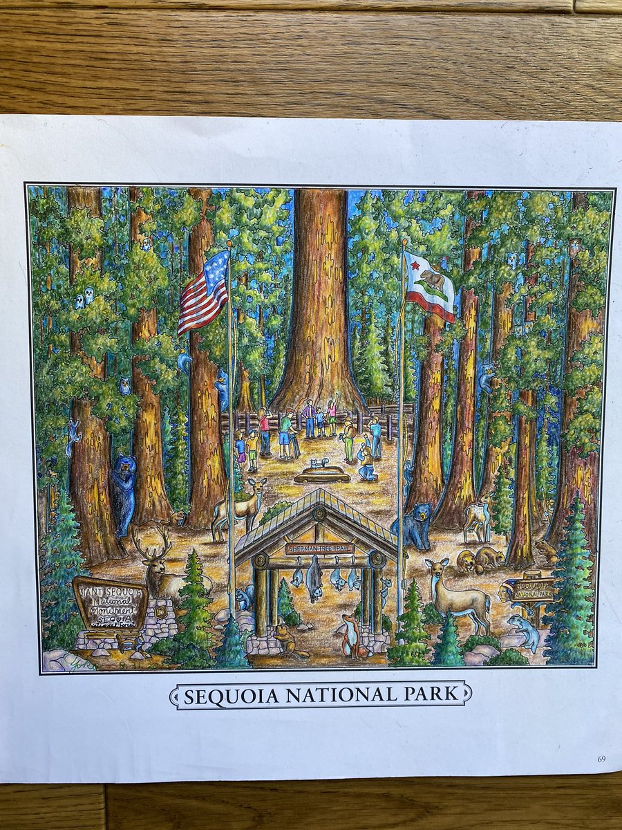 今日から9月、早いですね〜暑いですね〜😄💦

チョコチョコ塗りの塗り絵、やっと完成！って言うより、ここで完成としました😆
#大人の塗り絵 
#セコイア
#NationalParks #SequoiaNationalPark