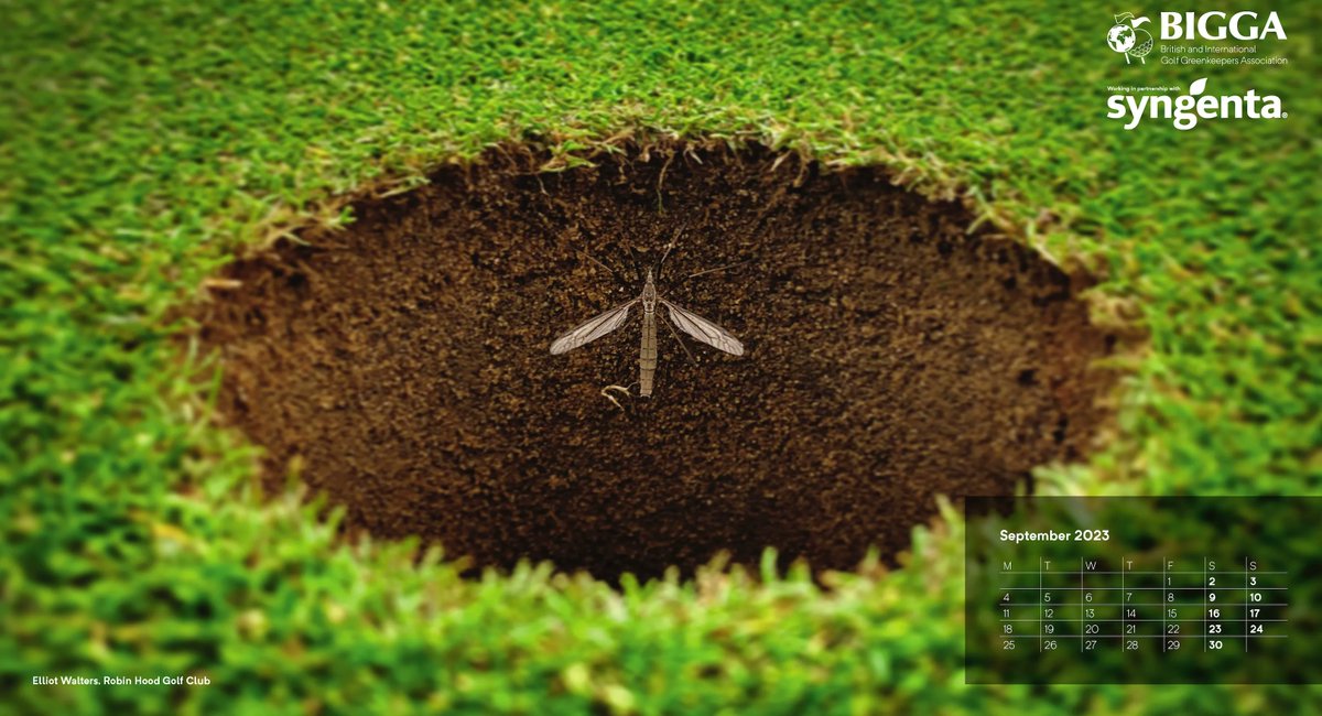 September Turf Tip from Sean.

“Help build a picture of crane fly activity by recording your sightings on Pest Tracker” 

Here &gt; buff.ly/3OQSHJs