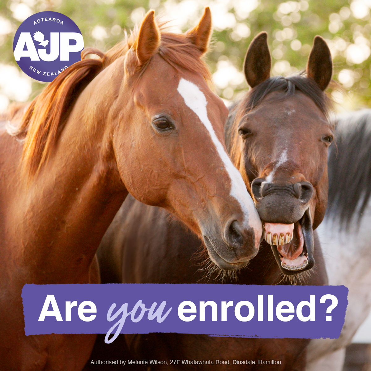 Animal Justice Party Aotearoa NZ tweet media