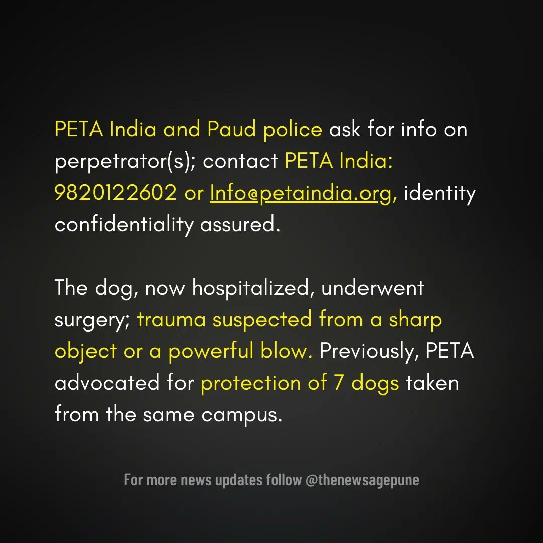 Thenewsagepune's tweet image. पुणे पोलिसांनी जखमी कुत्र्यासाठी गुन्हा दाखल केला; पेटा इंडियाचे दोषीला पकडण्यासाठी बक्षीस जाहीर
.
.
#petaindia #dogsofpune #paudroad #flameuniversity #punepolice #communitydog #newsagepune