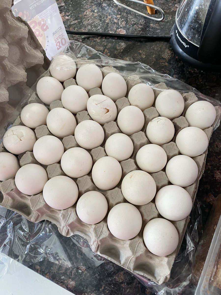 screwdev's tweet photo. @letsblinkit  what a joke. I ordered bread and eggs and they delivered expired bread . All eggs were broken they send replacement and now they delivered expired product again. Bullshit services they are not giving any option to put my question . Refund my money https://t.co/mXo6NP0Npw