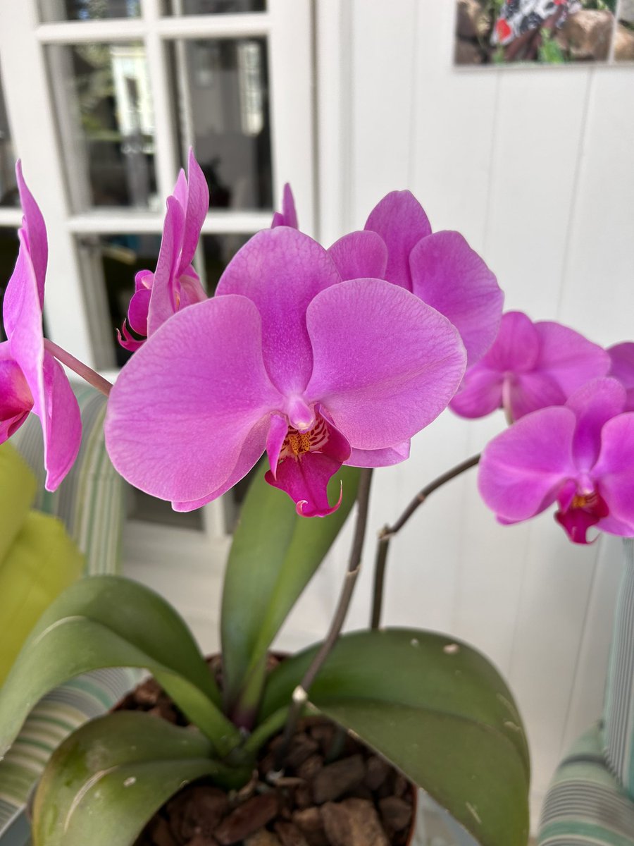 SpaPeople's tweet photo. Happy Spring Day! We made it through the winter ❄️ 
Happy Days ahead 🌺 https://t.co/VHBW9mcNI2