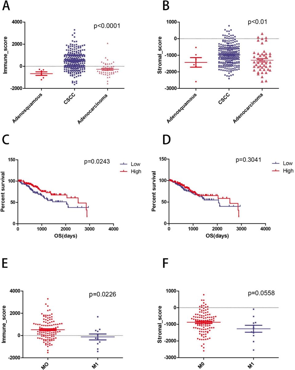 CEOGjournal's tweet photo. Peisong Chen and Min Liu, et al. have made a list of genes related to tumor microenvironment which would be potential biomarkers for the prognosis of cervical cancer patients.
Welcome to read more details at https://t.co/kI0dd6c58Y
#cervical_cancer #bioinformatics_analysis https://t.co/IUHE2TQwBT