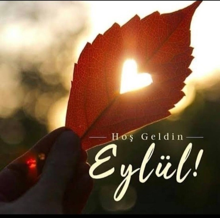 ..

Hoş Geldin Eylül 
Umutla ,Mucizelerinle 
     Gelmiş Ol ..🍁🍂🍁🍂

#Günaydın
#DünyaBarışGünü
#Sevgiyle 🥀