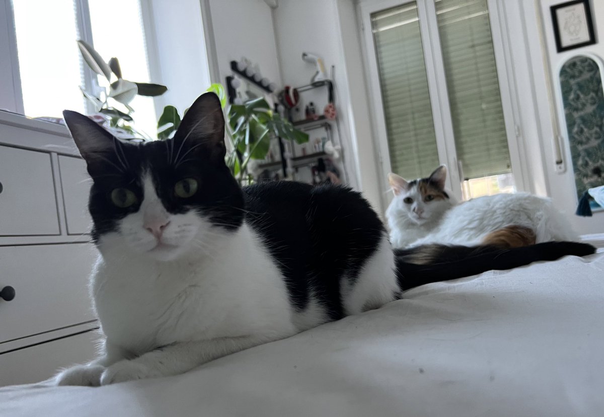 GiuliaSSambucci's tweet photo. Ecco un’altra iscritta al gruppo di quelle che non vogliono iniziare il 1Settembre! https://t.co/8ciQn8oArg