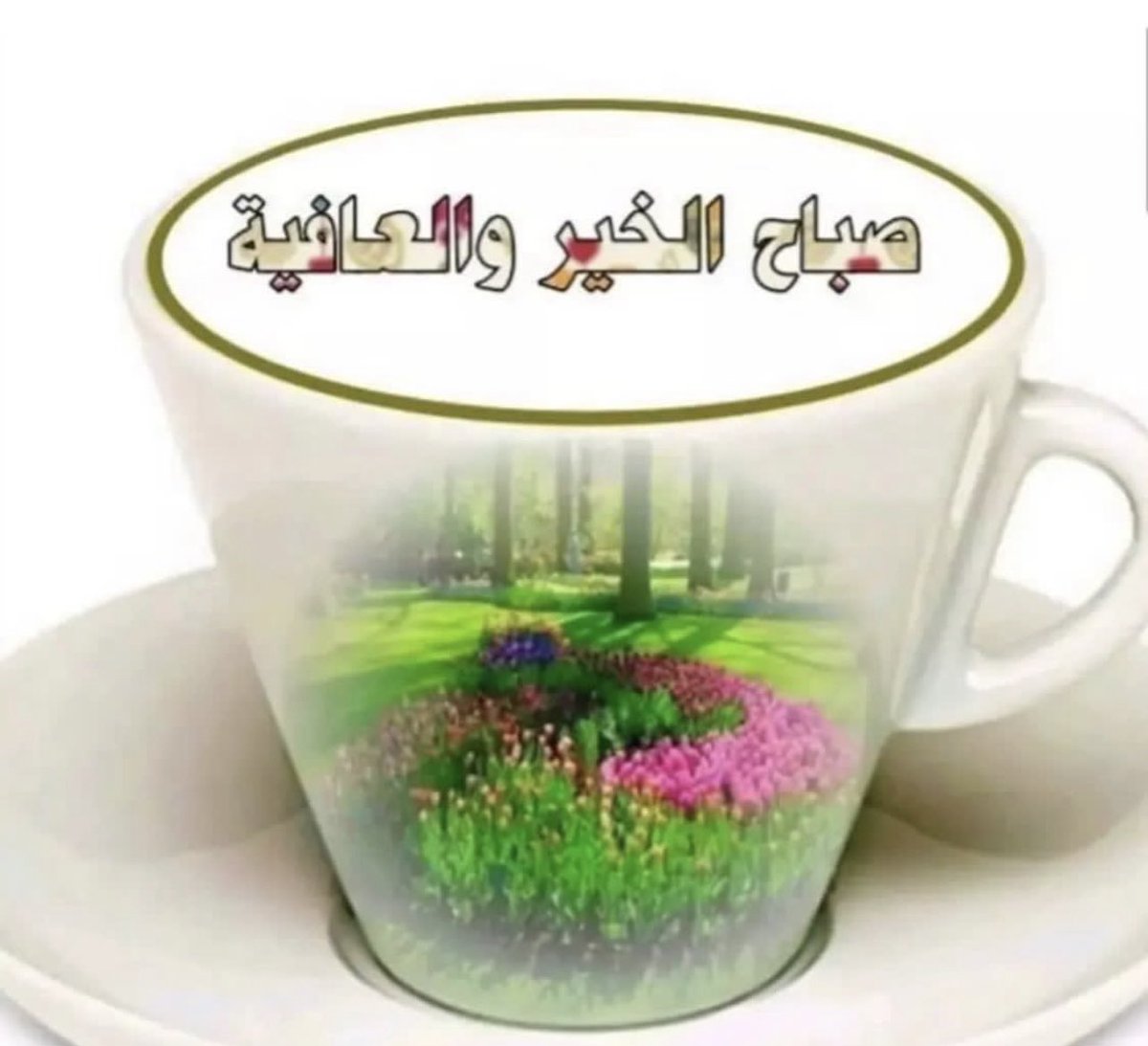صباح هادىْ وَآنفآس تَحمَل
تفآئَل وَيقيَن بآن كَل مآ سيكتَبہَ
آللہَ لنآ فَي كَل صباح خير وجميل

#صباح_الخير
🤍