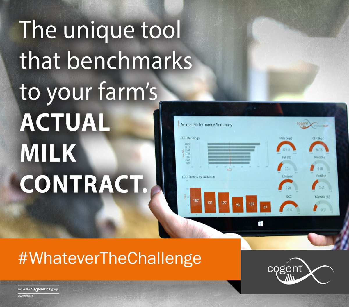 PrecisionMAP is an extensive data analysis of each individual cows performance, benchmarked against the farms actual milk contract. It ranks the herd using a financial custom index that incorporates all of the factors that affect farm profitability! #WhateverTheChallenge