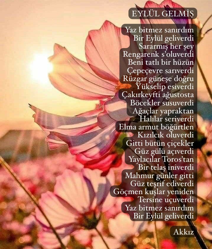 EYLÜL GELMİŞ

#eylül #sonbahar #hüzün #şiirheryerde #kalemindiliedebiyatakademisi #yazınişte

<a href="/peacific/">Ali Akkız</a>