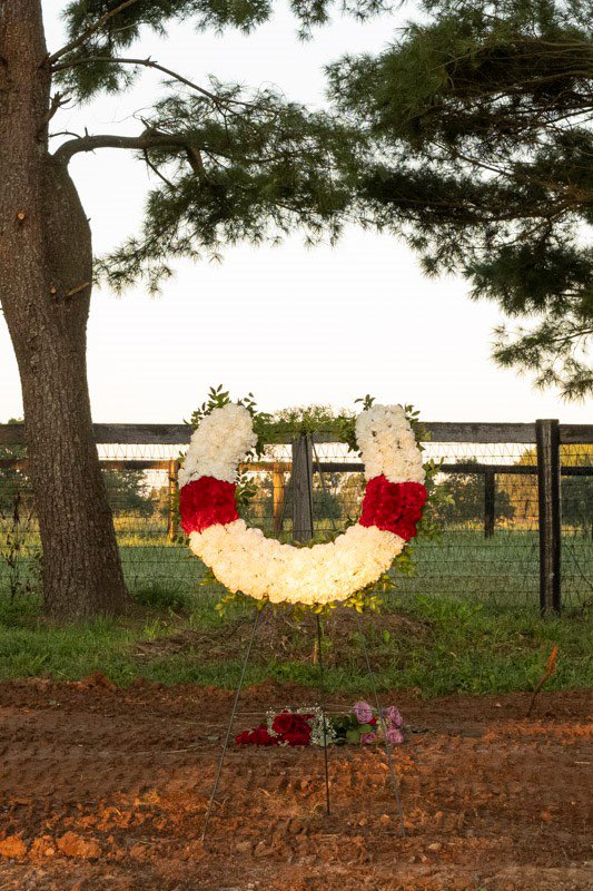 claibornefarm's tweet photo. Ruffian is home. Rest easy beautiful girl ❤️🤍

Huge thank you to Mr. Janney and @thenyra for preserving and transporting Ruffian in the most respectful manner imaginable, and for giving us the opportunity to lay her to rest where her life began. https://t.co/pel2YQDLN7