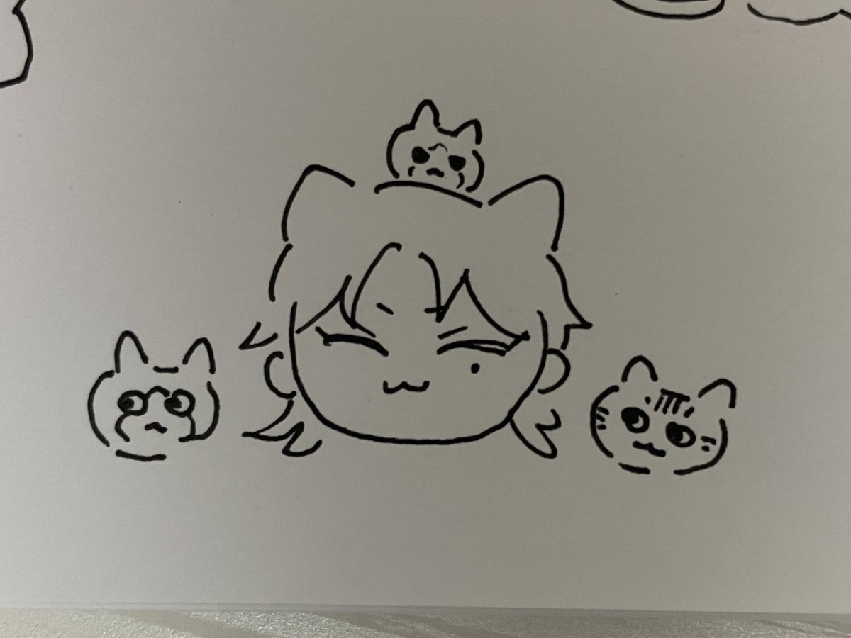 sususu_212's tweet photo. 🐱🐱🐱🐱 https://t.co/lItvFpcO81