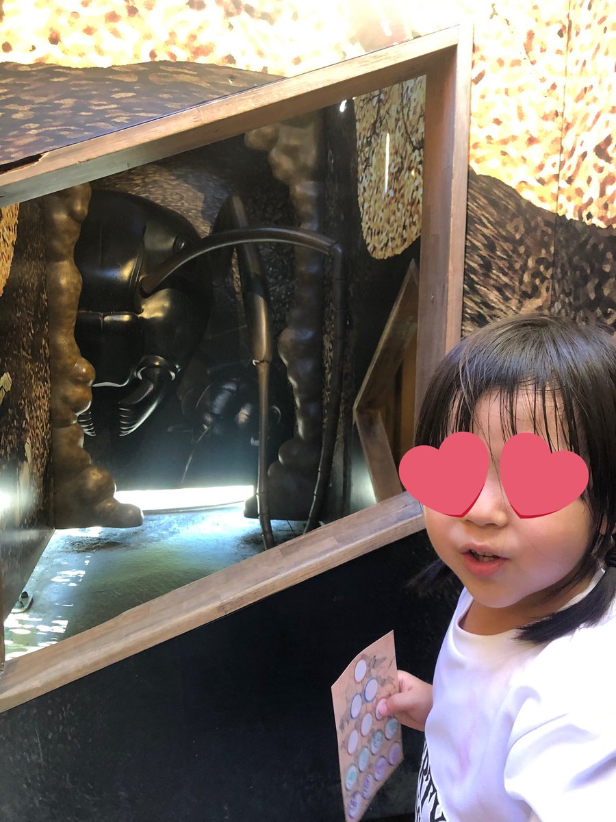ツインリンクから名前を変えたもてぎ
遊園地的要素がメチャ増えてた
ネットの巨大アスレチックや
(メチャ高い)
巨大な昆虫にビビり散らかす迷路とか
(メチャ高い)

パスポート高いな〜💦と思ったけど、それなりに凄いものが出来てた
 #モビリティリゾートもてぎ