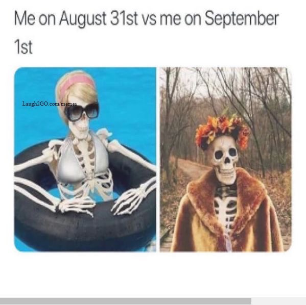 SouthernMomma98's tweet image. Happy fall, y’all 🥰🥰🍁🍃🍂 #FallLoading… #September1 #BlessedAndGrateful #LeavesChanging #SweaterWeather