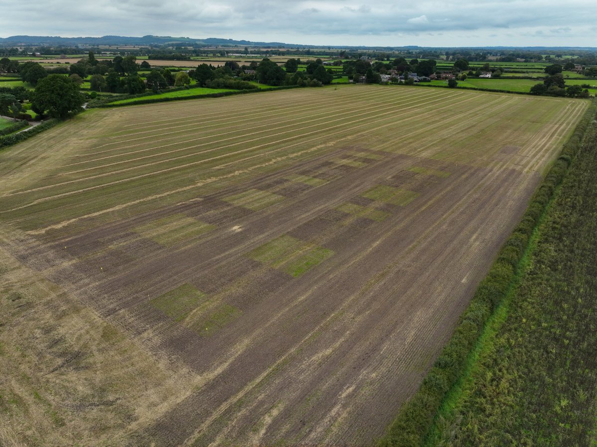 Blackthorn Arable Ltd tweet media