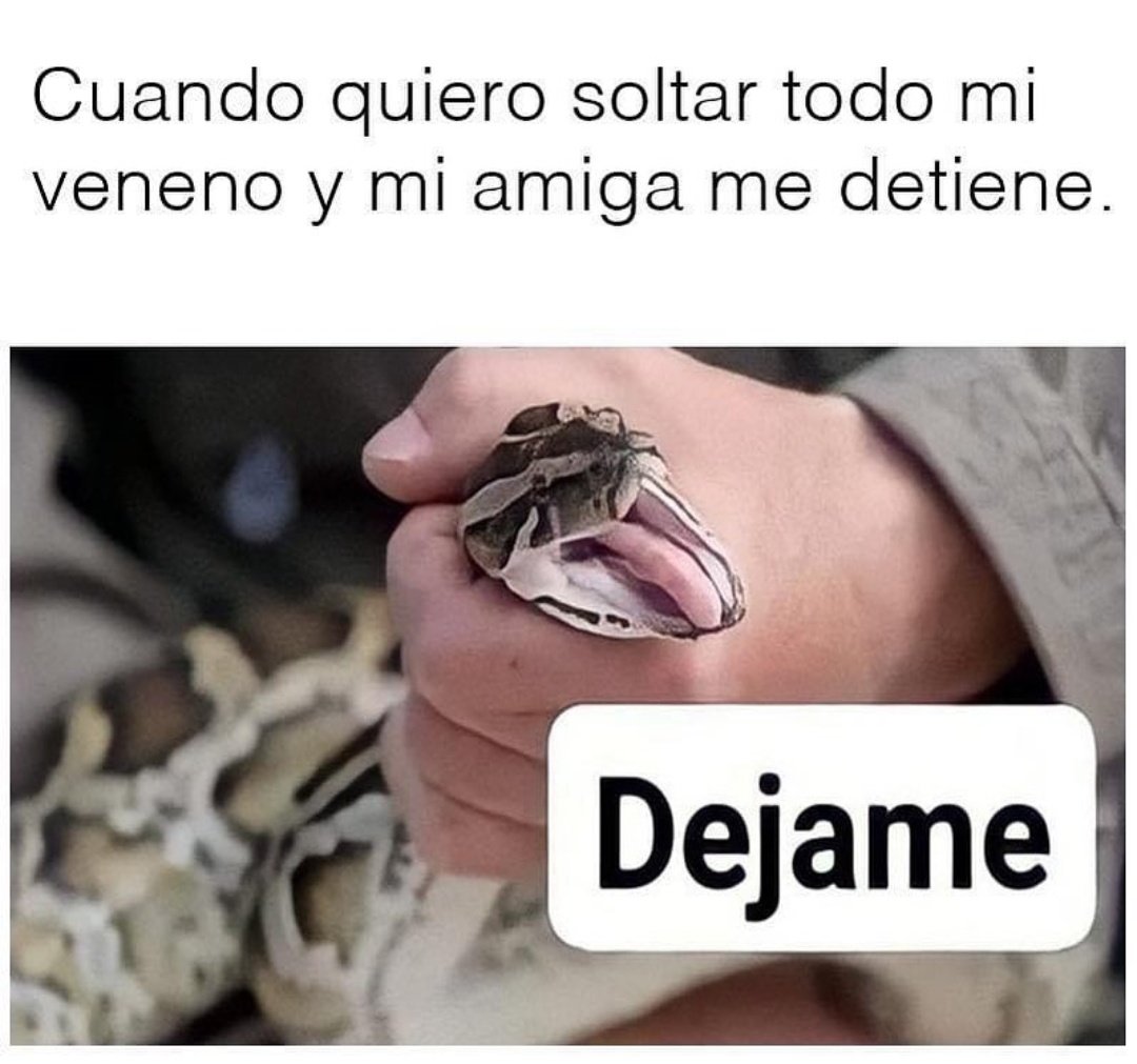 Av_TorresR's tweet photo. Tu última selfie es quien eres por fuera y tu último meme es quien eres por dentro https://t.co/ycnhOxJKws