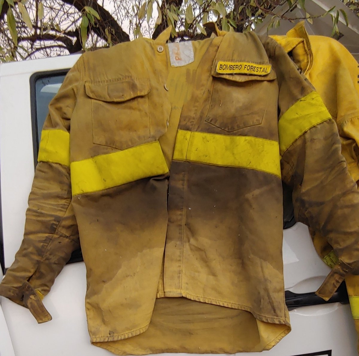 Drones, información vía satélite, inteligencia artificial aplicada a los incendios forestales... Los que estamos abajo respirando humo y cenizas seguimos sin tener enfermedades profesionales y un estatuto que proteja nuestra profesión.
BOMBEROS FORESTALES.