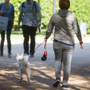 Avui entra en vigor la modificació l'Ordenança de Civisme de #Cambrils. Novetats:
✅Obligació de portar una ampolla d'aigua per aclarir les restes d'orina del teu 🐶.
✅Obligación de llevar una botella de agua para aclarar los restos de orina de tu 🐶.
Us anirem ℹ️.