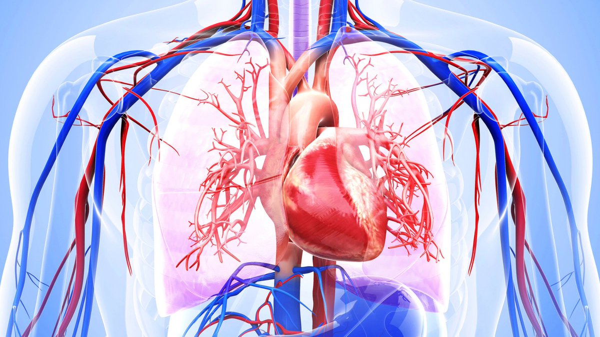 ccpractitioner's tweet photo. Ever wondered why patients with ARDS are turned face down? This video sheds light on the practice and its benefits: https://t.co/RVGyEadU81 #ARDSAwareness #IntensiveCare #ProningInICU https://t.co/xkqI4lYC6K