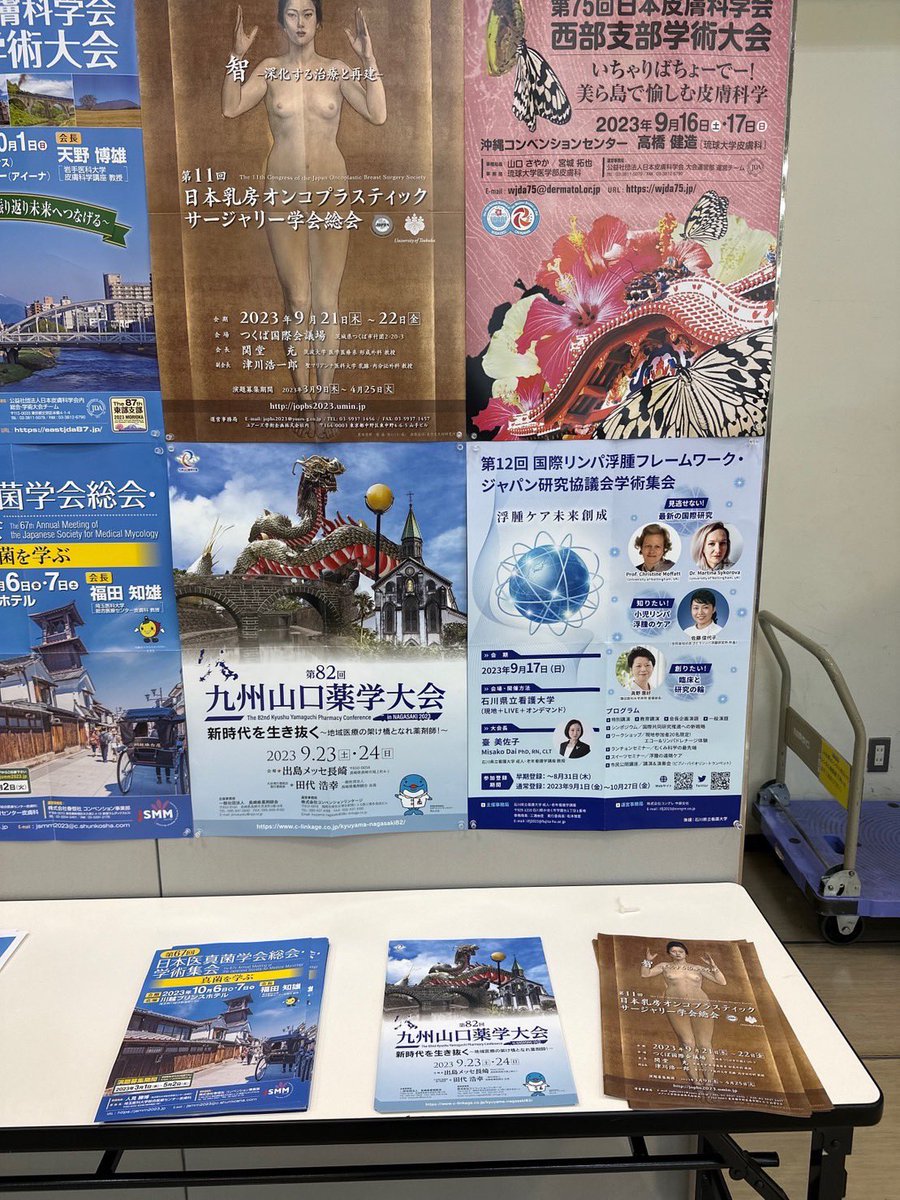 12thILFJ's tweet photo. 第25回日本褥瘡学会学術集会で広報中✨　ポスター掲示とチラシ配布🌸 https://t.co/cyczMrq2jd