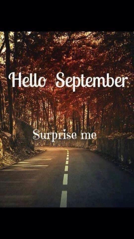 Looking forward to getting back into the swing of things. 📚🍎💚🌊