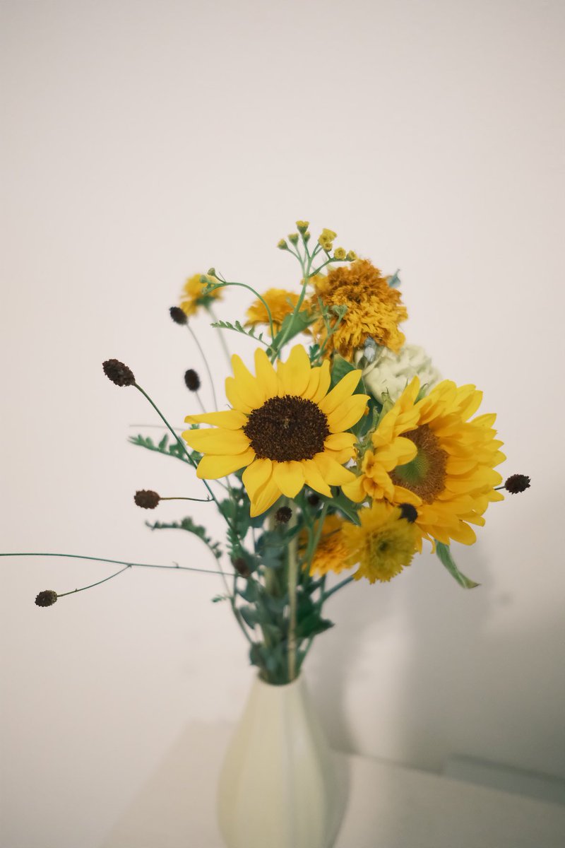 9月のはじまり！
最近なかなか余裕がない毎日でしたが、少し余裕が出てきたのでやりたいことができたらなと( ¨̮  )

#photograghy #coregraphy 
#fujifilm_xseries