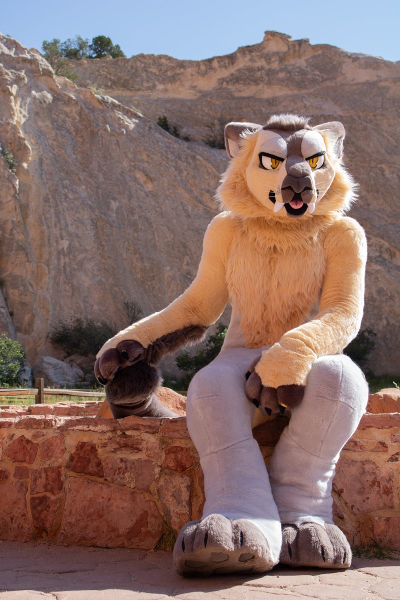 Why don't you take a seat right here ? Lets talk...

Pic by: <a href="/Blueshadowsmoon/">Big Blue</a> 
Suit by: <a href="/AlbinoTopaz/">Tayerr</a> / <a href="/Zweitesich/">ZWEITESICH</a>
#FursuitFriday #fursuiter #fursuit #FursuitEveryday