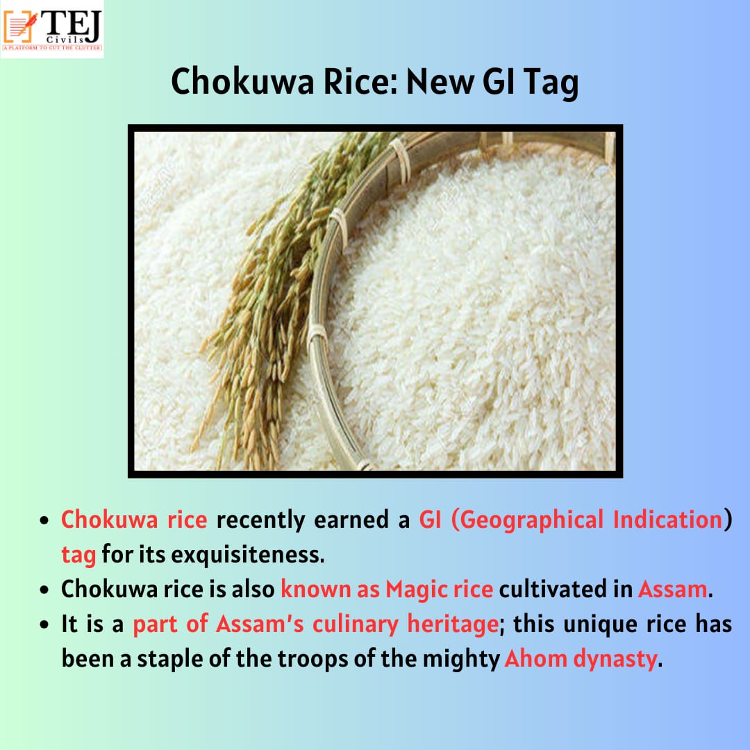 Chokuwa Rice : GI tags
#RASPrelims #RASJaipur #Tejcivils #Prelims2023