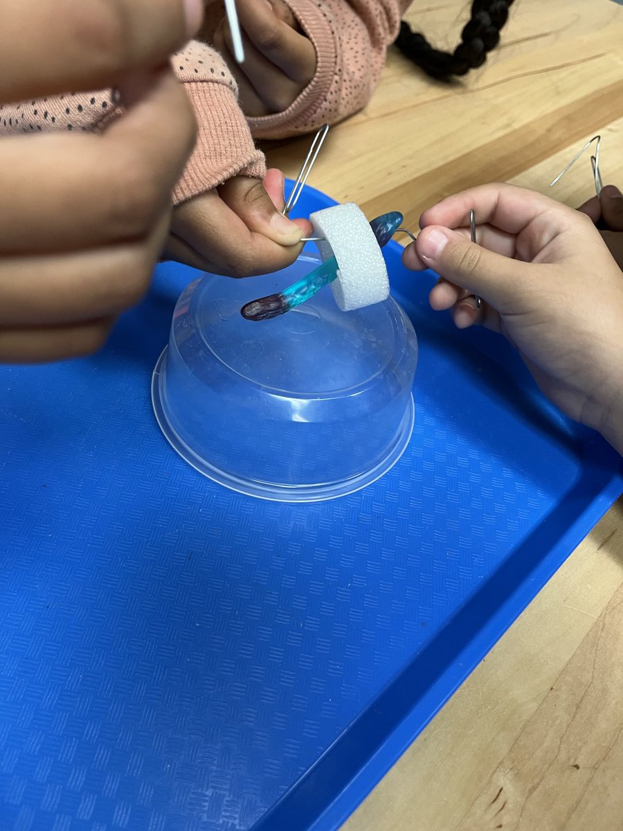 <a href="/CKELEM/">Cora Kelly</a> 3rd graders used teamwork to save Sammy! They communicated plans, worked together and kept trying until Sammy was safe in his boat. <a href="/ACPSk12/">Alexandria City Public Schools</a> <a href="/AlexandriaSTEM/">ACPS STEM</a> <a href="/CKelemPrincipal/">Cora Kelly Principal</a>
