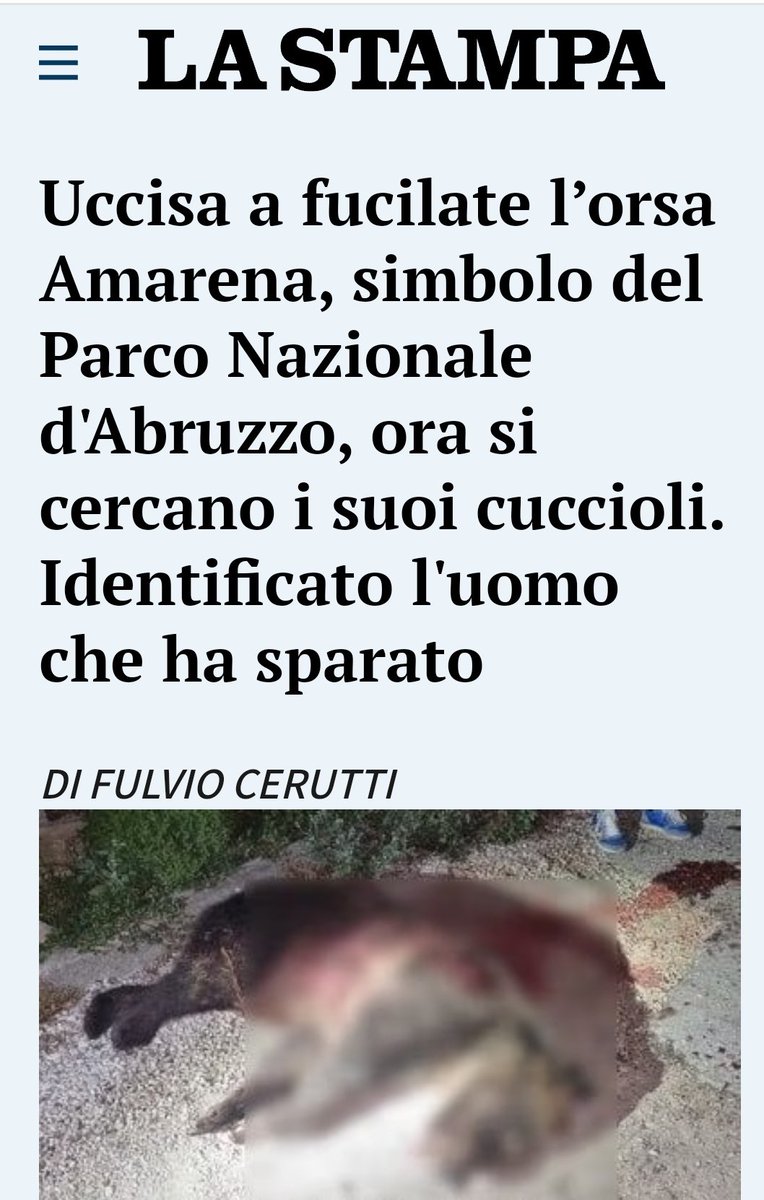 strofuggi's tweet photo. Ora che l'hai ammazzata ed i cuccioli sono dispersi, ti senti più uomo? Hai goduto? #orsaAmarena https://t.co/VrOTTI3zcI
