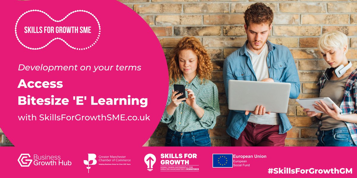 Start the new month by setting  development goals with Bitesize 'E' Learning.

For Greater Manchester SMEs on the <a href="/SkillsGrowthSME/">SkillsForGrowthSME</a> programme this is your reminder to utilise the platform before 30th September deadline.

Find out more 👉ow.ly/u0V850Ppcww

#SkillsForGrowthGM