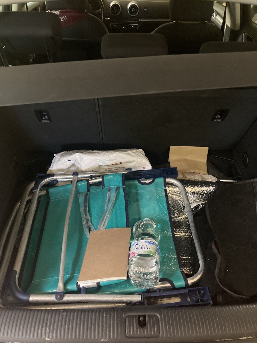 Maestra Porvicio🎠 tweet media