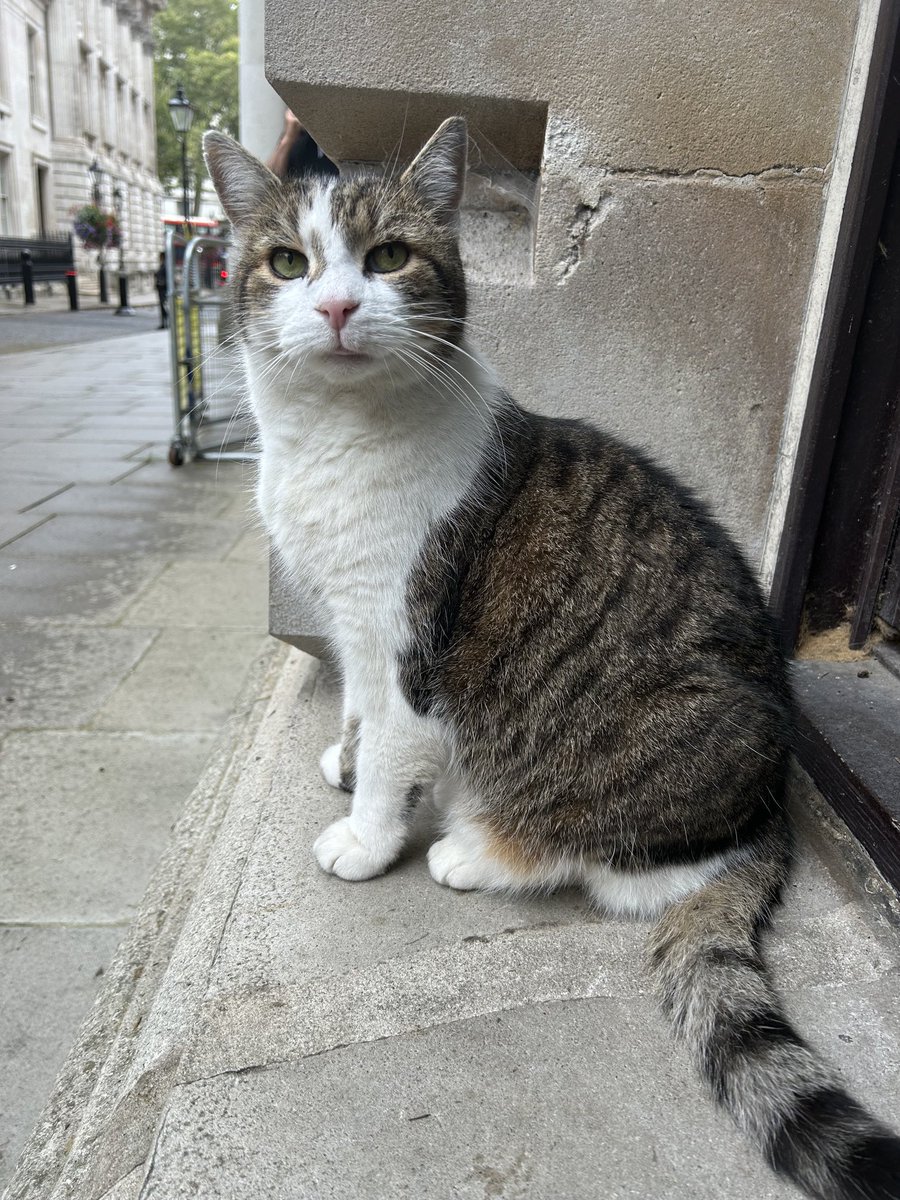 “What do you mean that was Summer?!”
(Photo <a href="/PoliticalPics/">PoliticalPics</a>)