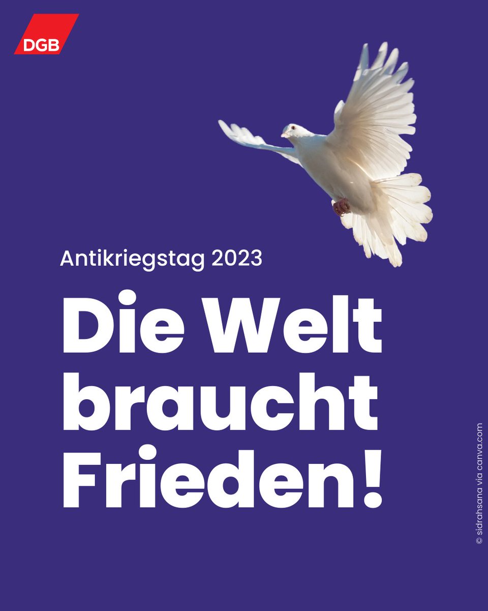 🕊️ Wir #Gewerkschaften stehen zusammen: Mit all unserer Kraft für #Frieden, Rüstungskontrolle und #Abrüstung, für die Achtung der #Menschenrechte und für mehr soziale #Gerechtigkeit. Unser Aufruf zum #Antikriegstag: dgb.de/antikriegstag