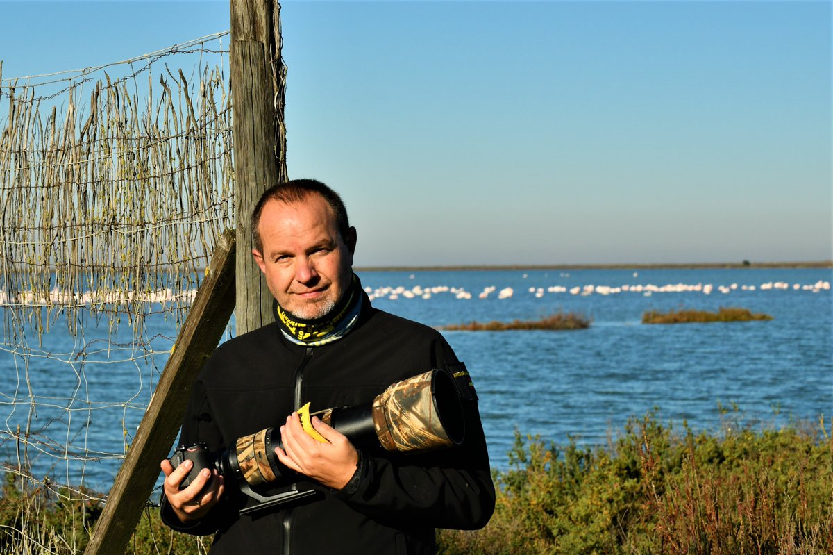 carlos romero Photography - Wildlife Photographer tweet media