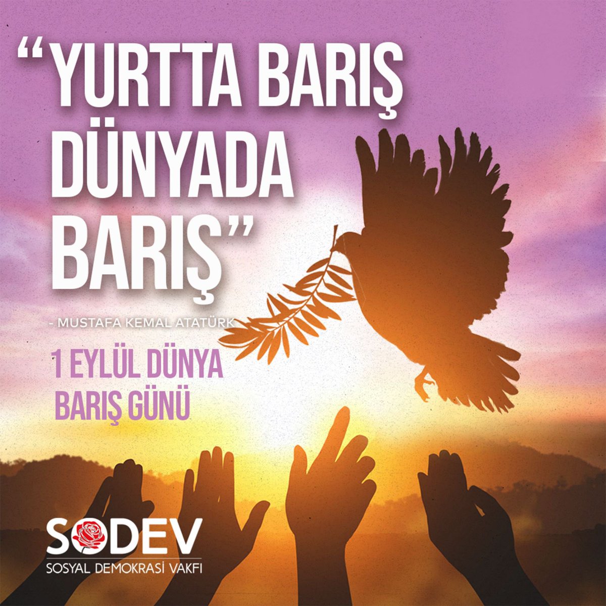 SODEV tweet media
