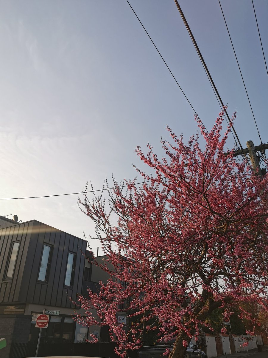 🗞 Georgia C. Brown tweet media