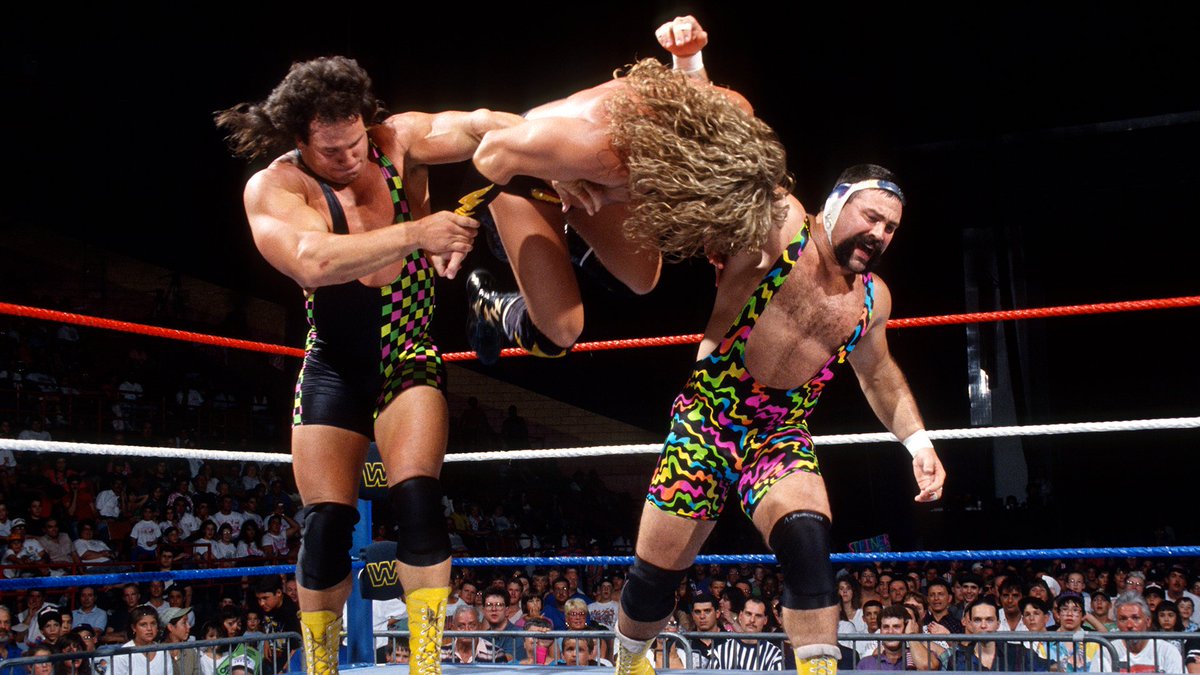 📸 WWF Action Shot! #WWF #WWE #Wrestling #SteinerBrothers